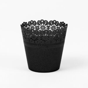 Osłonka Korona Primulka