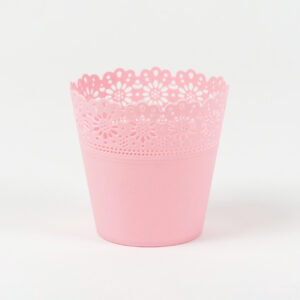 Osłonka Korona Primulka