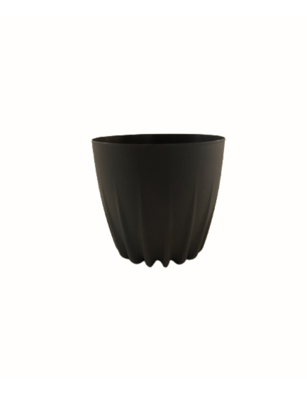 8c5fe564-211e-481a-83b6-0c89044a2743.png